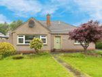 Thumbnail to rent in Elm Row, Selkirk, Roxburghshire