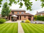 Thumbnail for sale in Muirfield House, Asselby