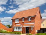 Thumbnail to rent in Plot 126 The Carver Pipistrelle Place, Ardleigh, Colchester