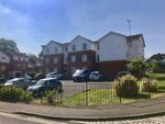 Thumbnail to rent in Elm Park, Reading
