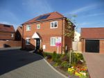 Thumbnail to rent in Downham Grove, Wymondham