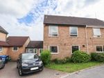 Thumbnail to rent in Courtenay Close, Norwich