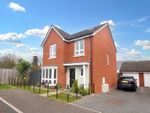 Thumbnail to rent in Holland Drive, Exeter, Devon