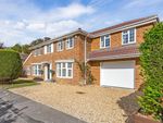 Thumbnail to rent in Dawnay Close, Ascot