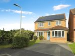 Thumbnail to rent in The Carrs, Welton, Lincoln