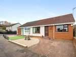 Thumbnail for sale in Alyth Drive, Polmont, Falkirk