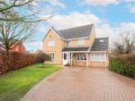 Thumbnail to rent in Cornwall Close, Rackheath, Norwich