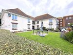 Thumbnail to rent in Brookfield Road, Bexhill-On-Sea