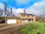 Thumbnail for sale in Manor Close, Low Worsall, Yarm