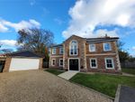 Thumbnail for sale in Chestnut Drive, Attleborough