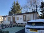 Thumbnail to rent in Rob Roy Park Homes, Carlisle Rd, Biggar, South Lanarkshire