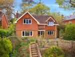 Thumbnail to rent in Shadyhanger, Godalming, Surrey