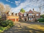 Thumbnail to rent in Eriswell Crescent, Burwood Park, Walton-On-Thames, Surrey