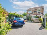 Thumbnail for sale in Sherbourne Avenue, Newbold, Chesterfield