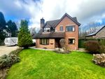 Thumbnail for sale in Wellmeadow, Staunton, Coleford