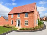 Thumbnail to rent in "Cornell" at St. Benedicts Way, Ryhope, Sunderland