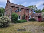 Thumbnail to rent in Sawmill Cottage, Staffield, Penrith