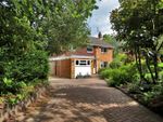 Thumbnail to rent in School Lane, St. Johns, Crowborough, East Sussex