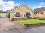 Thumbnail for sale in Sutton Close, Cowplain, Waterlooville