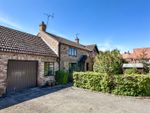 Thumbnail for sale in Dunroyal Close, Helperby, York