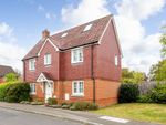Thumbnail to rent in Claines Street, Holybourne