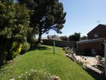 Thumbnail for sale in Fern Close, Eastbourne