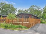 Thumbnail to rent in Aspen Corner, Brokerswood Holiday Park, Brokerswood