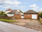 Thumbnail for sale in Addington Road, Woodford, Kettering