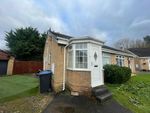 Thumbnail to rent in Hilderthorpe, Nunthorpe