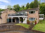 Thumbnail to rent in Regents Close, Whyteleafe