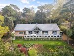Thumbnail for sale in Buccleuch Road, Branksome Park, Poole, Dorset