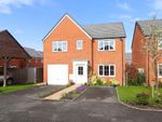 Thumbnail for sale in Bluebell Drive, Aylesham, Canterbury, Kent
