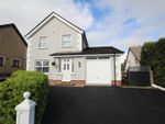 Thumbnail to rent in Elmwood Grove, Newtownabbey, County Antrim