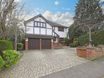 Thumbnail for sale in Ollards Grove, Loughton, Essex