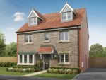 Thumbnail to rent in "The Fletcher" at Jenkinson Way, Falfield, Wotton-Under-Edge