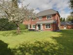 Thumbnail to rent in The Laurels, Pikemere Road, Alsager