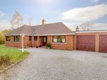 Thumbnail to rent in Southport Road, Eccleston