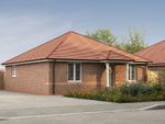 Thumbnail to rent in "The Turley" at Hookhams Path, Wollaston, Wellingborough