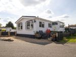Thumbnail to rent in Innisfree Park Homes, Bawsey, King's Lynn, Norfolk