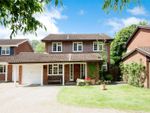 Thumbnail for sale in Southern Haye, Hartley Wintney, Hook