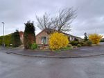 Thumbnail for sale in Riversmeade Way, Doxey, Stafford