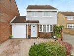 Thumbnail for sale in Stirrup Close, Chelmsford, Essex