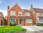 Thumbnail to rent in Carnoustie Grove, Darlington