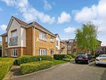 Thumbnail for sale in Ashbourne Lodge, Hazelwood Lane, Palmers Green