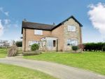 Thumbnail to rent in Redworth, Newton Aycliffe