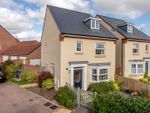 Thumbnail to rent in Little Orchard, Cheddon Fitzpaine, Taunton