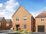 Thumbnail to rent in "The Ingleby" at Waterhouse Way, Hampton Gardens, Peterborough