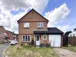 Thumbnail to rent in Buttercup Way, Norwich