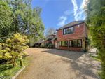Thumbnail for sale in Hill Brow, Liss, Hampshire