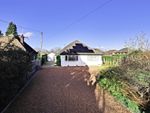 Thumbnail to rent in Sherfield Road, Bramley, Tadley, Hampshire